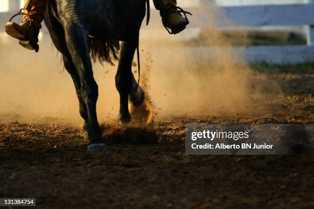 galloping horse - rodeo stockfoto's en -beelden