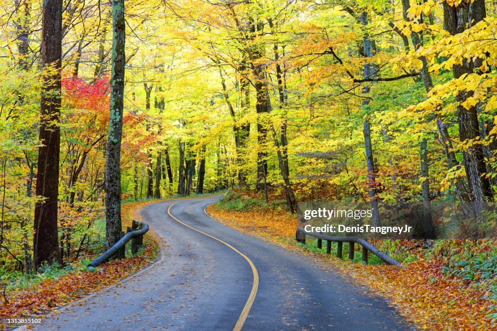 Auto Road auf dem Mount Greylock in den Berkshires