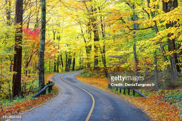 auto road on mount greylock in the berkshires - berkshires massachusetts stock pictures, royalty-free photos & images