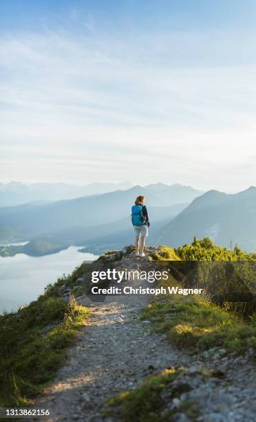 frau in den bergen beim wandern - frau top sommer stock pictures, royalty-free photos & images