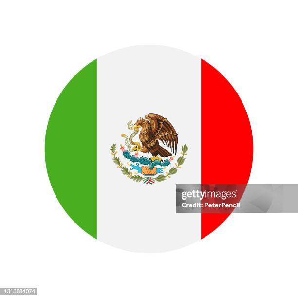 web - mexico flag stock illustrations