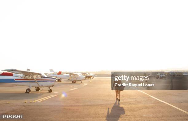 pilot approaches group of single-engine, propeller planes at sunrise - aircraft tarmac stock pictures, royalty-free photos & images