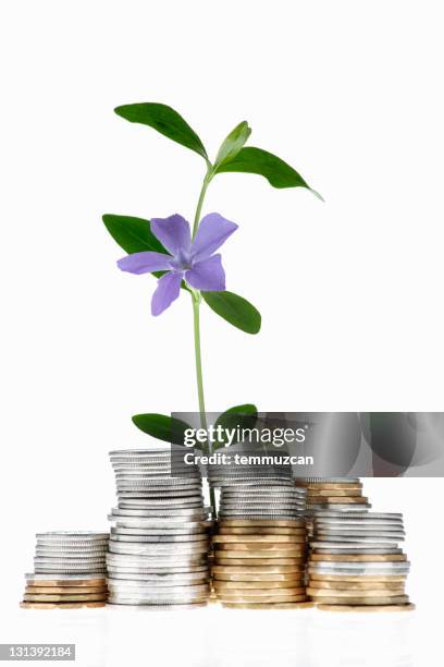 coins and flower - canadian dollars stock pictures, royalty-free photos & images