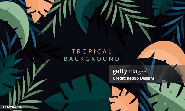 palm leaves on dark background stock illustration - tropical rainforest stock illustrations