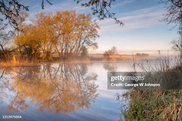 spring dawn i - bedford stock pictures, royalty-free photos & images