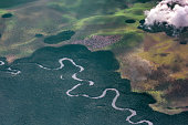 Aerial view of rainforest in the Congo Basin, West Africa