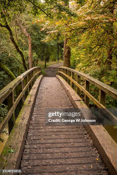 bridge over river mole ii - box hill stock pictures, royalty-free photos & images