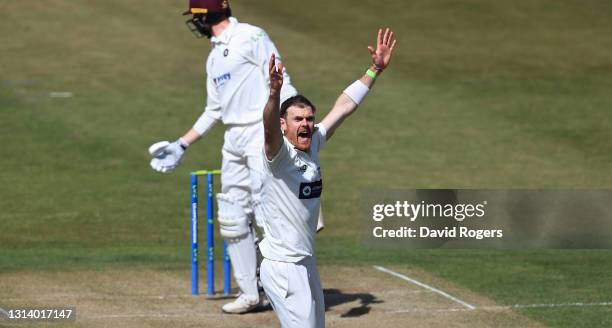 James Harris of Glamorgan celebrates after trapping Rob Keogh LBW during the LV=Insurance County Championship match between Northamptonshire and...