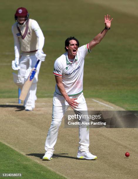 Chris Wright of Leicestershire unsuccessfully appeals for an LBW during day two of the LV= Insurance County Championship match between Leicestershire...