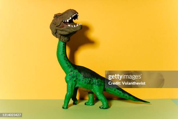 diplodocus dinosaur pretending to be a t-rex on yellow background - förklädnad bildbanksfoton och bilder