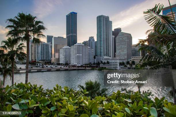 luxury residential houses, downtown miami, florida - brickell key miami stockfoto's en -beelden