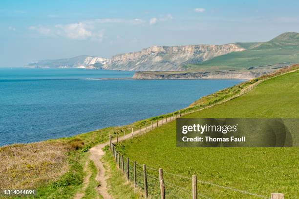 vistas ao longo do caminho da costa sudoeste na costa jurássica - jurassic coast - fotografias e filmes do acervo