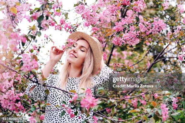 portrait of a beautiful young girl in spring near a blooming pink apple tree - rosewood stock pictures, royalty-free photos & images