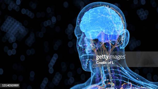 Human Body Computer Head 2,447 Computer Brain Interface Stock Photos, High-Res Pictures, and ...
