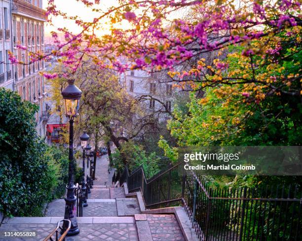 spring in montmartre - paris springtime stock pictures, royalty-free photos & images