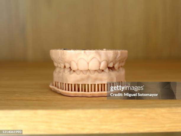 16 Typodont Stock Photos High Res Pictures and Images Getty Images 16 Typodont Stock Photos High Res Pictures and Images Getty Images
