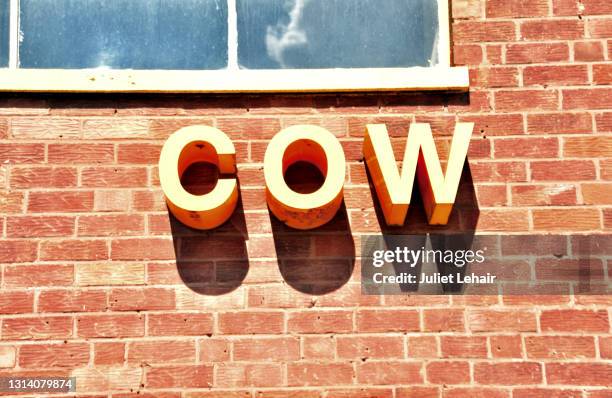 c o w - letter w stock pictures, royalty-free photos & images