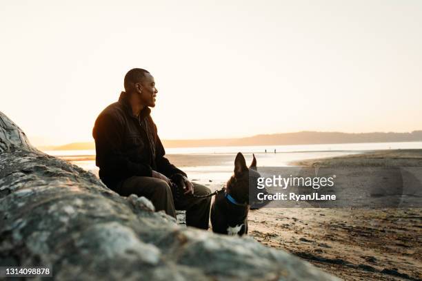 adult man on beach with faithful dog - german shepherd sitting stock pictures, royalty-free photos & images