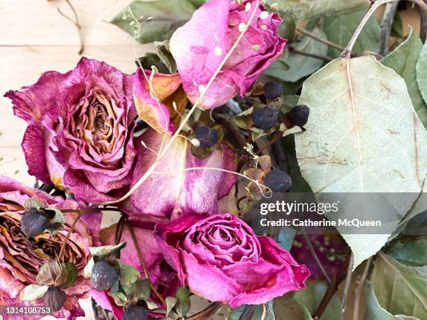 dried floral bouquet of roses - dead garden stock pictures, royalty-free photos & images