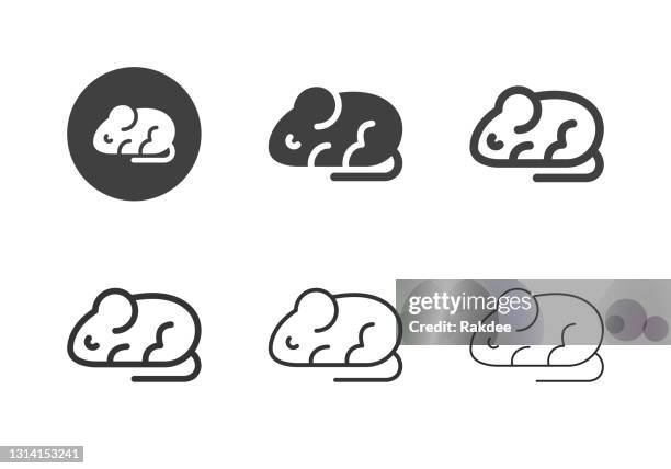 75点の動物実験イラスト素材 Getty Images 75点の動物実験イラスト素材 Getty Images