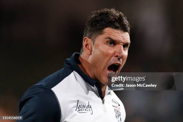 Trent Barrett head coach of the Bulldogs reacts during the round seven NRL match between the Cronulla Sharks and the Canterbury Bulldogs at Netstrata...