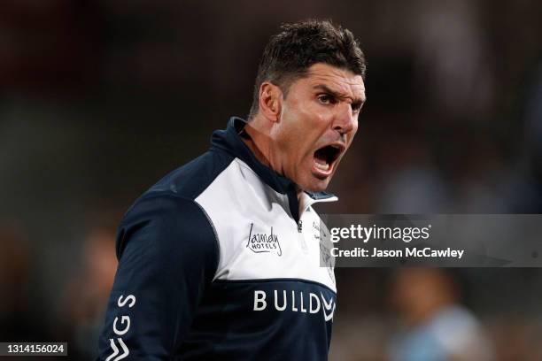 Trent Barrett head coach of the Bulldogs reacts during the round seven NRL match between the Cronulla Sharks and the Canterbury Bulldogs at Netstrata...