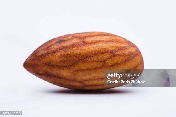 soaked almond. - almond stock pictures, royalty-free photos & images