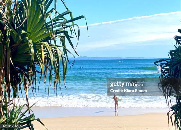 surfer am wasserrand mit blick auf breaking waves - byron bay stock-fotos und bilder