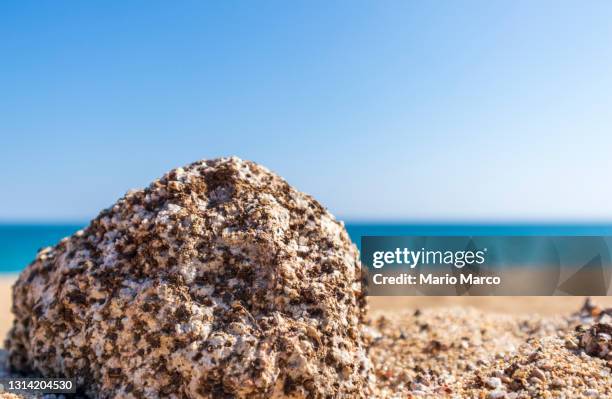 Beach Rocks Close Rock On Beach Photos and Premium High Res Pictures - Getty Images