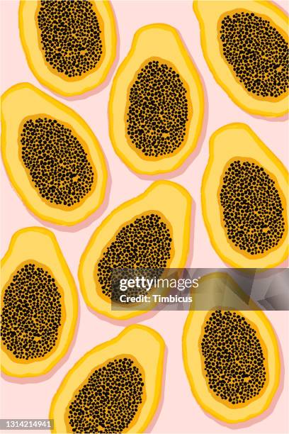 illustrazioni stock, clip art, cartoni animati e icone di tendenza di modello di frutta pawpaw - albero di papaya