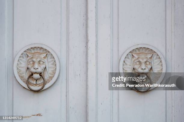 detail of two white antique tiger or lion bas relief sculptures and metal door knocker's rings on wooden white door. - altorrelieve fotografías e imágenes de stock