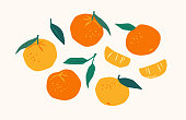 Set of drawn tangerines. Citrus fruits, oranges, mantarines. Vector illustration. Isolated elements.