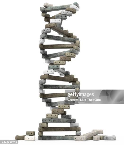 Dna Database Building 41 Dna Building Blocks Stock Photos, High-Res Pictures, and Images ...