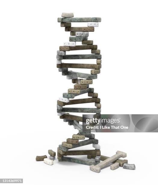 Dna Database Building 41 Dna Building Blocks Stock Photos, High-Res Pictures, and Images ...