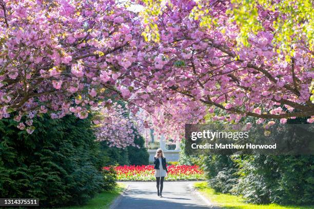 Cardiff Spring Cardiff Spring Photos and Premium High Res Pictures - Getty Images