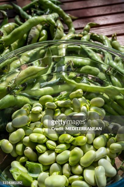 broad beans or lima beans after harvest peeled in a glass bowl - fava bean stock pictures, royalty-free photos & images