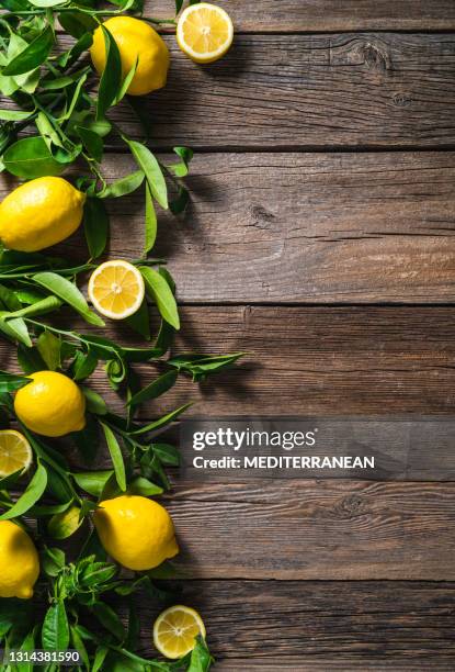 citroenvruchten in takken en bladeren van citroenboom op rustiek hout - lemon tree stockfoto's en -beelden