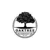 Vintage Retro Oak, Banyan, Maple Tree Service Logo Design, vector logo design tamplate stock illustration Oak tree, Vector, Logo, Illustration