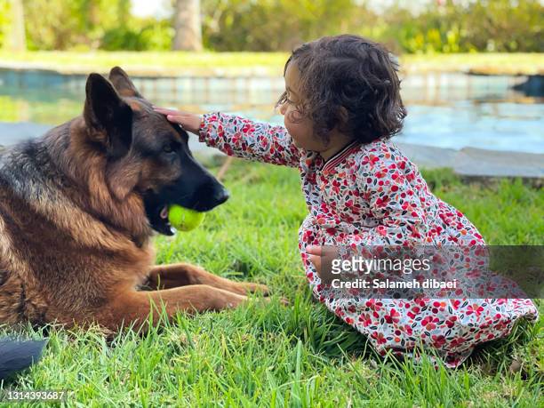 a child and her pet dog ca - german shepherd sitting stock pictures, royalty-free photos & images