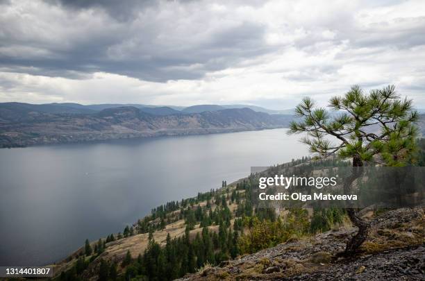 view of the okanagan lake on an overcast summer day with low hanging clouds reflecting in the waters of the lake - penticton stock pictures, royalty-free photos & images