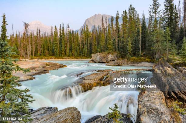 natural bridge waterfall in canadian rocky mountains - yoho national park photos et images de collection