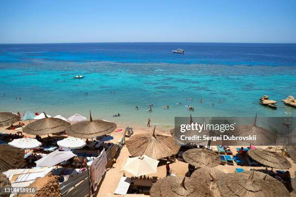 Hadaba 1,701 Sinai Beach Stock Photos, High-Res Pictures, and Images - Getty ...