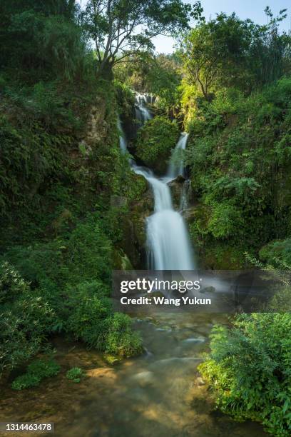 small waterfall in the primeval forest - tiny creek stock pictures, royalty-free photos & images