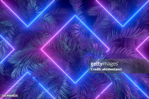 palme mit neon blitz quadratische rahmen, abstrakte hintergrund - blue tree 3d stock-fotos und bilder