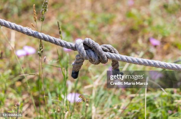 Node Rope Photos and Premium High Res Pictures - Getty Images