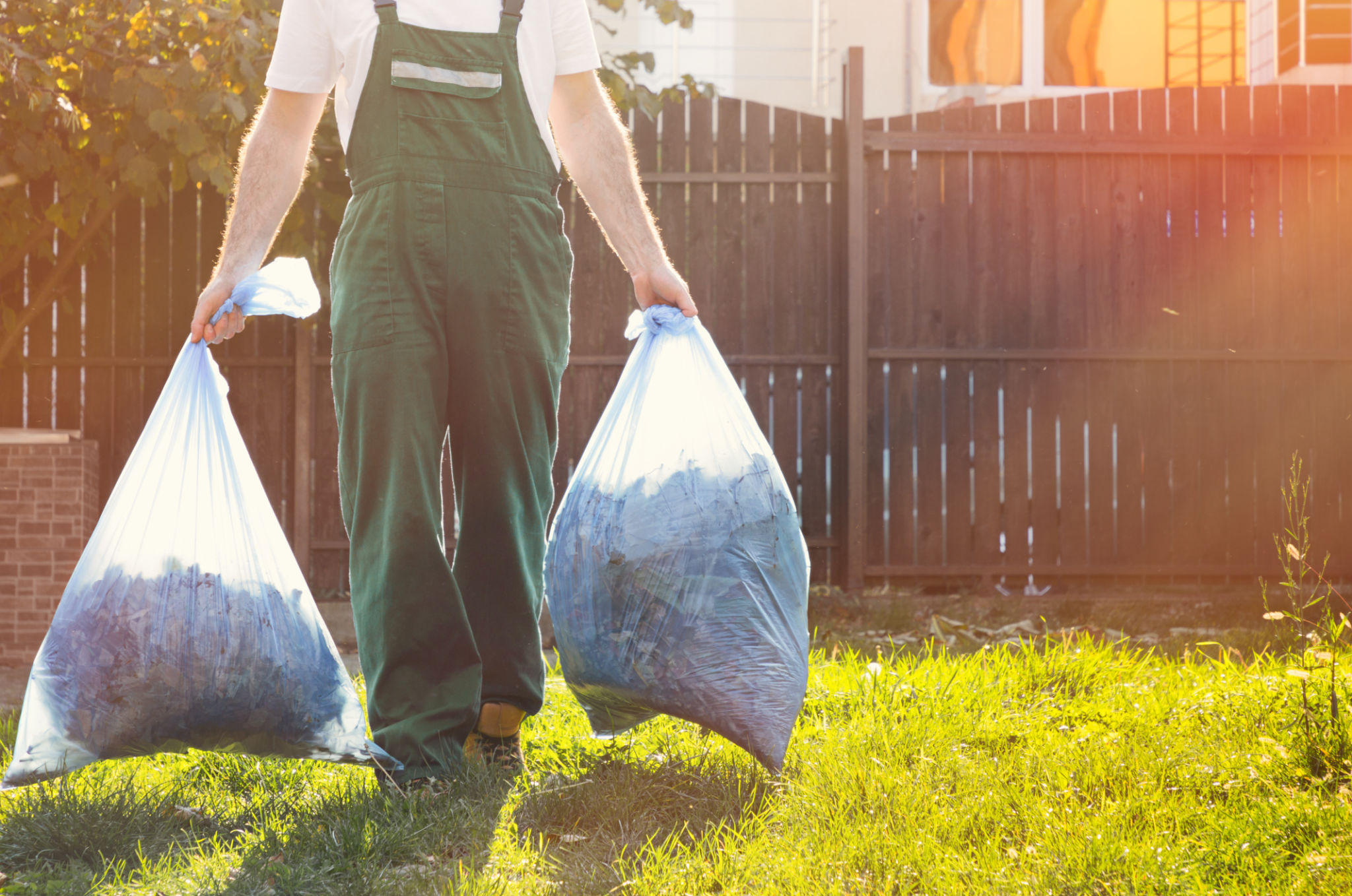 pet waste cleanup