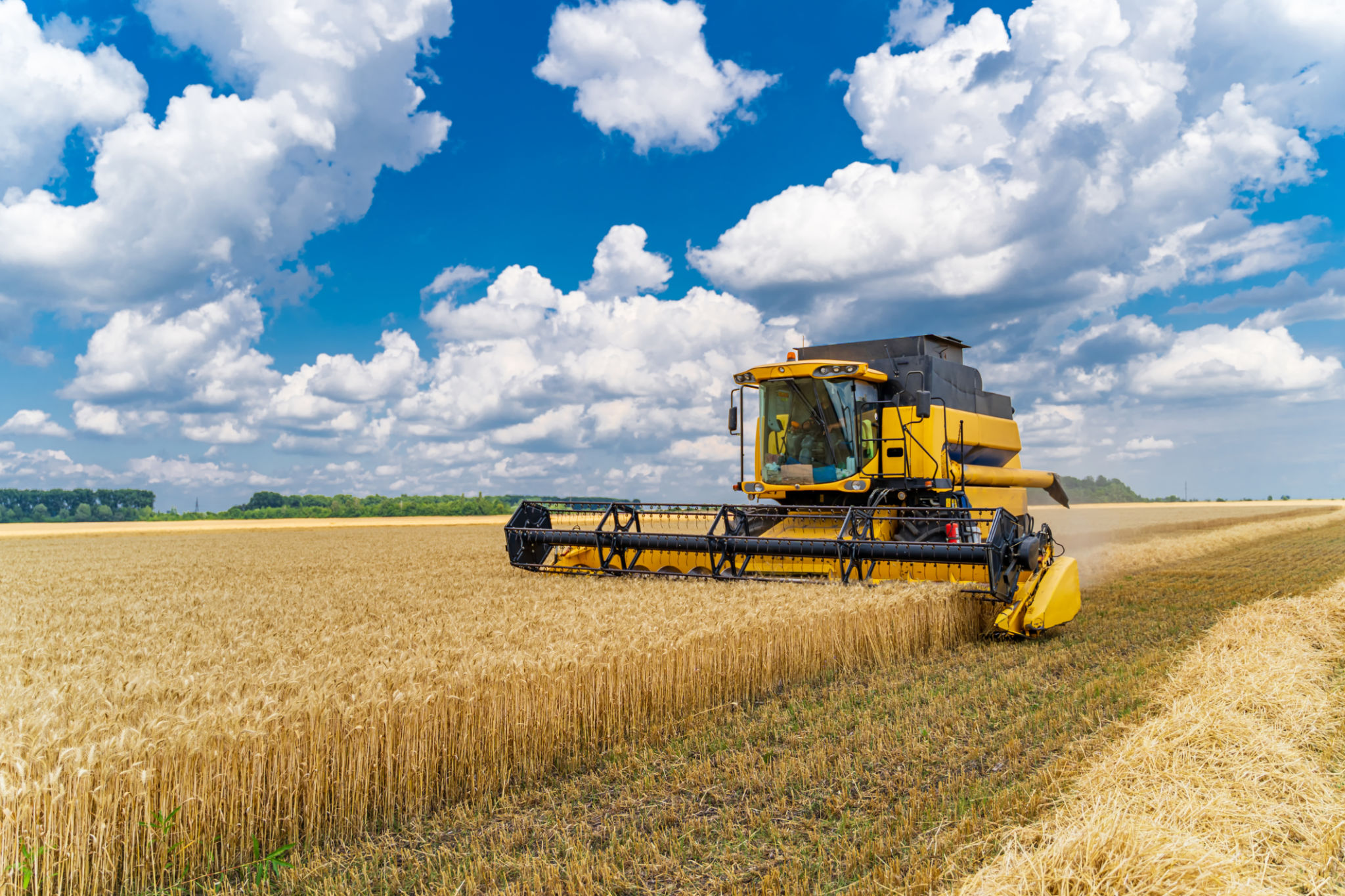 claas harvester