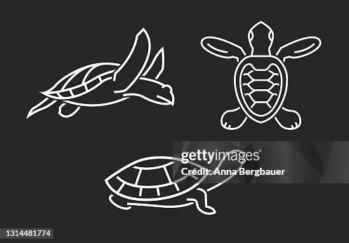 Turtle Elements Set Outlined Graphics Isolated On A Dark Background ...