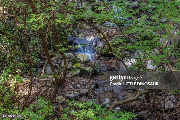 tiny mountain stream behind the green leaves. tsu, mie, japan - tsu stock pictures, royalty-free photos & images