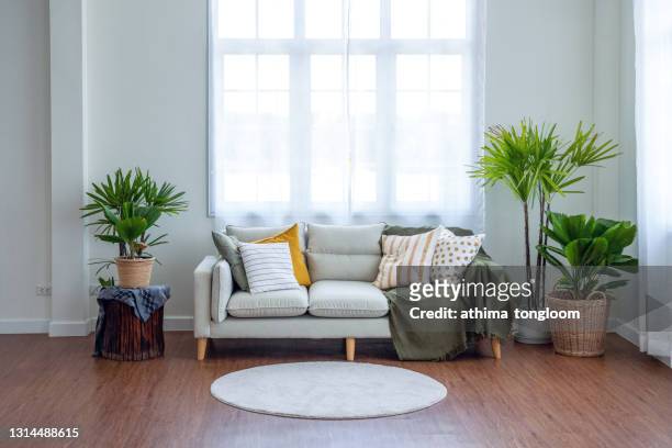 grey sofa and cushions beside decorate with plant. - divano foto e immagini stock